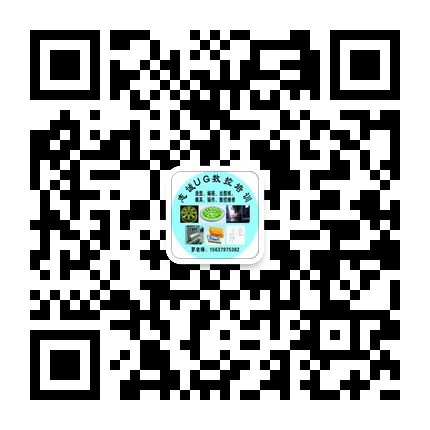 洛阳ug培训.jpg